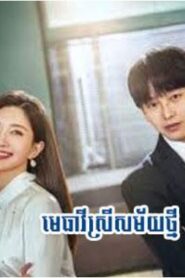 មេធាវីស្រីសម័យថ្មី (40 Eps) – Lady of Law