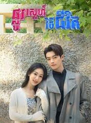 ផ្លូវស្នេហ៍វិថីជីវិត​(37 Eps) – Best Choice Ever