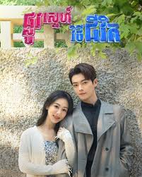 ផ្លូវស្នេហ៍វិថីជីវិត​(37 Eps) – Best Choice Ever